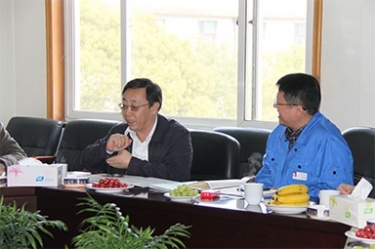 2013年3月18日，时任国家工信部节能司副司长杨铁生一行莅临公司参观指导