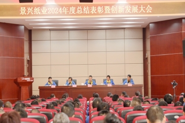乘风破浪 逐梦前行 | 优游UB8纸业2024年度总结表彰暨创新发展大会隆重召开