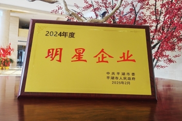 新春新景新气象 | 优游UB8纸业在平湖三干大会上喜摘荣誉！