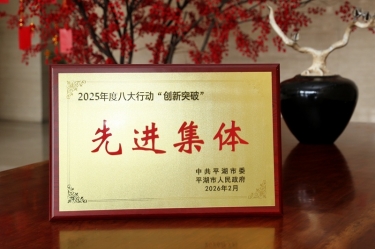 策马扬鞭启新程！优游UB8纸业在平湖市三级干部大会上荣获“创新突破”双项荣誉